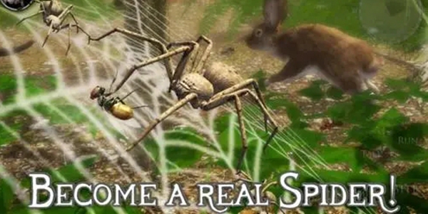 蜘蛛类的游戏有哪些