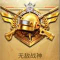 平板视角pubg游戏助手最新版