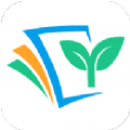 春芽学习app