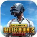 pubgmobile最新版