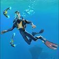 海底求生手机版